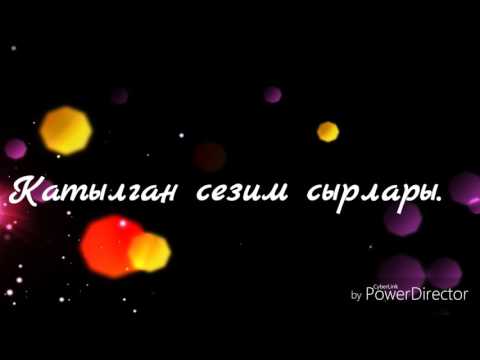 суйуу ма суйуу ма