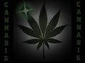 Dime - Gondwana