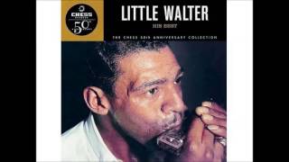 Watch Little Walter Hate To See You Go video