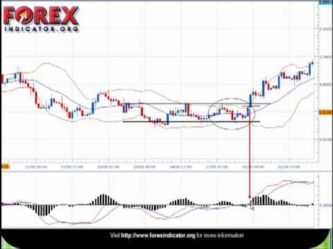 Forex video tutorials