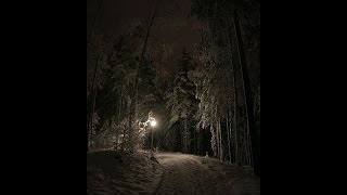 Deck the Halls (dark music) arranged by Alina Pisleaga