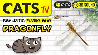 Game For Cats - Realistic Dragonfly For Cats To Watch 4K 60Fps Cats Tv