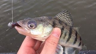 Видео Стритфишинг - Новоданиловская набережная от Fishing Reviews, Новоданиловская набережная, Москва, Россия
