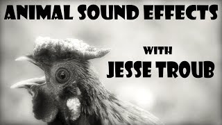 Jesse Troub Animal Sound Effects