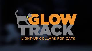 Cat tracking Collar w/ GPS and camera option