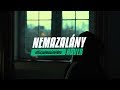 NEMAZALÁNY - HAVER ?‍♀️ (Official Music Video)