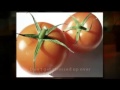 tomato soup cream | tomato soup recipe | best | easy | simple | fast | quick