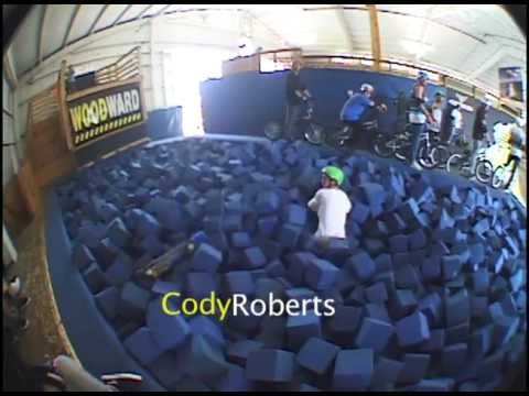 Woodward montage