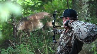 Velvet Buck From Ground | Top Pin in Tennessee!