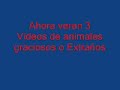 Los Mejores Bloopers Del 2011 images Los Mejores Bloopers Del 2011