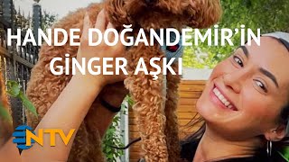 Hande Doğandemir, Sevimli Dostu Gingerı Arkadaşı Umut Kurta Anlattı
