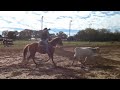Brent Bennett performance horses ... Working slow cattle.  To wet to rope... Training horses