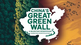 Chinas Great Green Wall Milestone In Combating Desertification