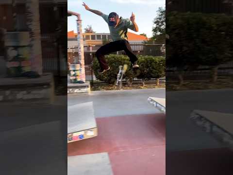 Gustavo Ribeiro Stoner Skatepark Sesh