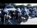 paradisehogs