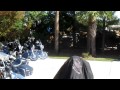 paradisehogs