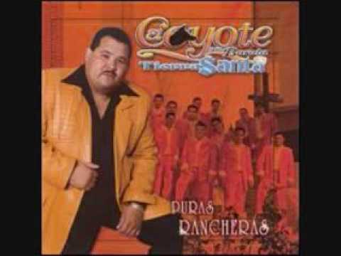 ARBOLES DE LA BARRANCA EL COYOTE Y SU BANDA TIERRA SANTA