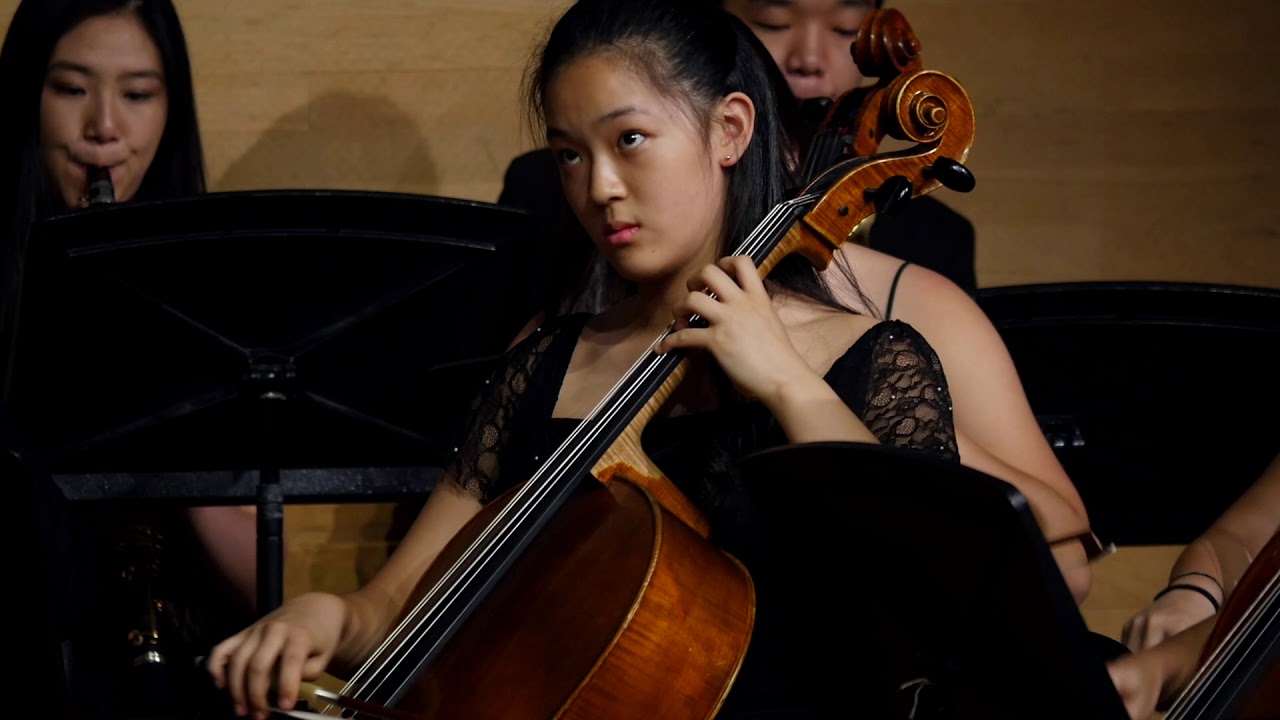 Camerata Youth Orchestra