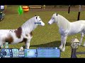 animaux et cie
