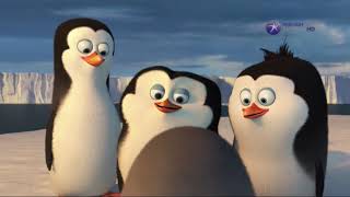У Тебя Нет Родни И Мы Все Скоро Умрем. Пингвины Мадагаскара / Penguins Of Madagascar
