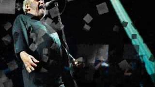 Watch Joe Cocker Fever video