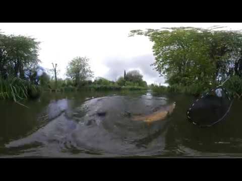 Fly Fishing For Carp in 360 5.7k