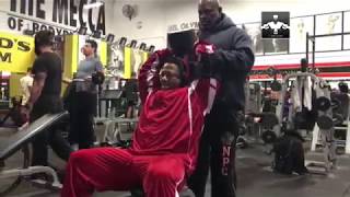 Shawn Rhoden Triceps 2019 Mr. Olympia