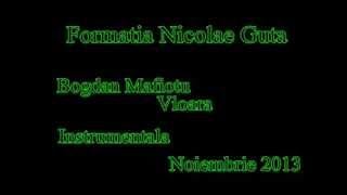 Formatia Nicolae Guta - Bogdan Mafiotu Vioara - Instrumentala Nov. 2013