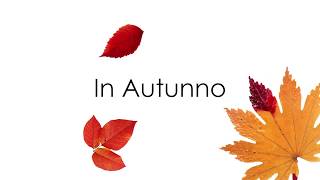 SENSITIVE IN AUTUNNO