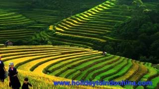 Travel to Sapa, Sapa tours