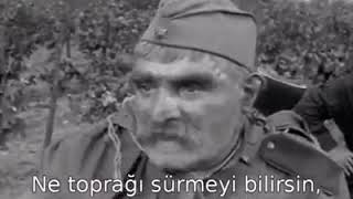 Lazca Dublaj, Lazca Seslendirme