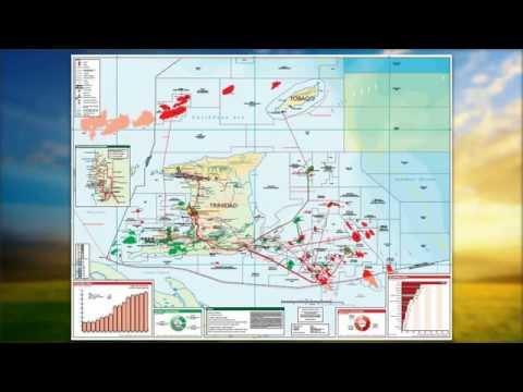 The Structure, History and Role of the Natural Gas Industry