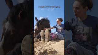 Horse Is Resting His Head On Womans Lap While They Sit Together