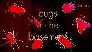 Bugs In The Basement - Triatoma Sanguisuga aka The Bloodsucking Conenose