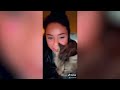 Play this video Cute and Funny Cat Videos to Keep You Smiling! р