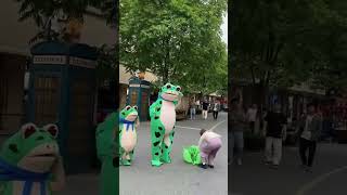 Mr. Frog