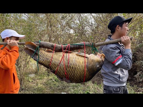 Bắt Cá Chép Khủng Ở Sông Nhật - Đức Qúy Vlogs- Cuộc Sống Ở Nhật