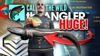 CATCHING a HUGE DIAMOND Mottled Eel In This HOTSPOT! | Call of the wild the angl