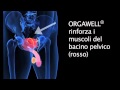Deficit erettile - erezione ritorna in questo modo