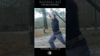 Baseball Bat For Legal Self-Defense Riposte - Optional Follow-Up