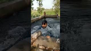 Village Tube Well Vs Swimming Pool Farming Agriculture Advance Tube Well Tiktok Atude3
