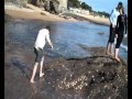 pornic