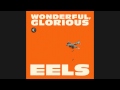 Wonderful, Glorious (album stream)