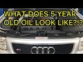 I bought a CHEAP, ABANDONED Audi S3 8L! Part 4!