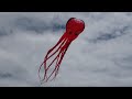 An Invitation to the Frank Mots International Kite Festival in 2010
