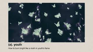 A. Youth