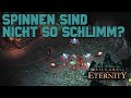 Let's Play Pillars of Eternity - Lle a Rhemen - Teil 93