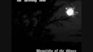 Watch Howling Void Mollusk video