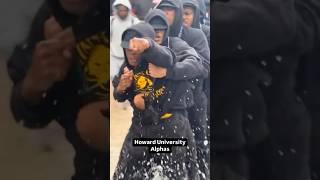 The Beta Chapter Of Alpha Phi Alpha Howard University