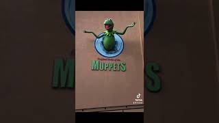 Times That Ive Met Actual Muppets